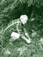 planting_kauri.jpg