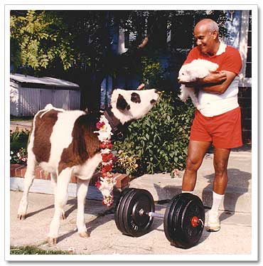 Calf and Dumbbell