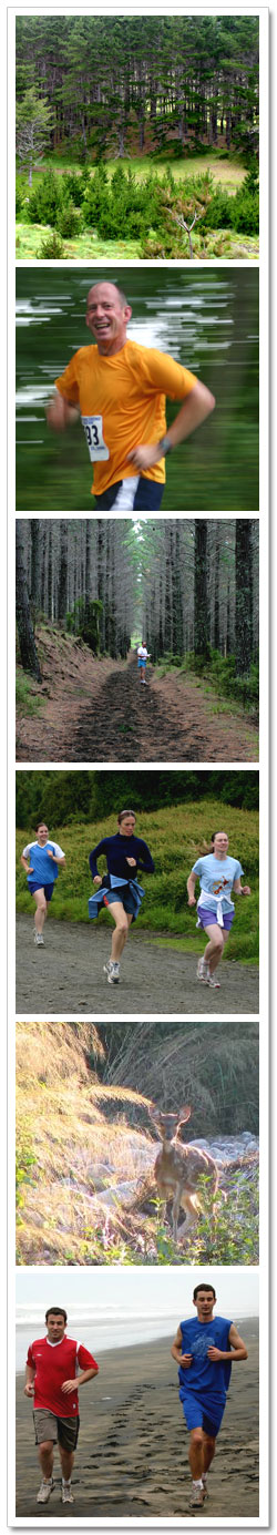 Running at Muriwai & Woodhill