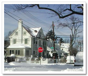 Jamaica in the snow