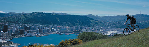 Wellington