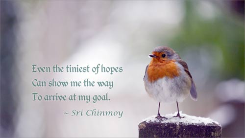 quotes for hope. Quotes on Hope. Hope is Eternity's slow, steady,