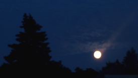 Moonrise