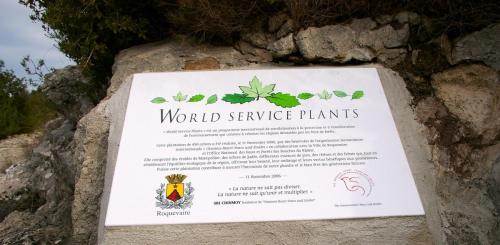 plaque